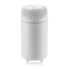 Portable Electric Mini Nebulizer Humidifier Handheld 100ml Plastic Aromatherapy Essential Oil Diffuser for Home and Car